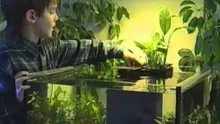 Historic video [1998]: TUNZE&reg; Aquarientechnik: Bausteine f&uuml;r reiches Leben in Aquarien [Deutsch]
