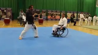 Wheelchair Ikkaido Pairs