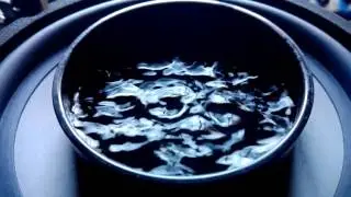 Arm&oacute;nicos en el agua