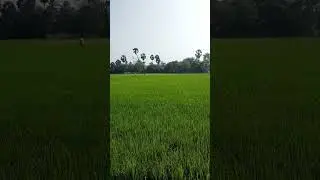 #விவசாயம் #motivation #farmer #farmlife#land #shortsfeed