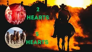 Top 8 Unbelievable Animals with Multiple Hearts