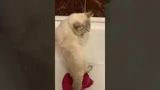 Когда шортсы будут дольше минуты? 😞
