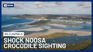 Reported Crocodile Sighting At Queensland&rsquo;s Popular Noosa Spit Sparks Investigation | 10 News