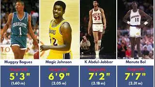 The Best Active NBA Player at Every Height! - Tallest NBA Players