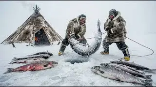 Fishing a 5,000 kg River Monster in −71°C Yakutia to Feed a Frozen Village  Extreme Survival