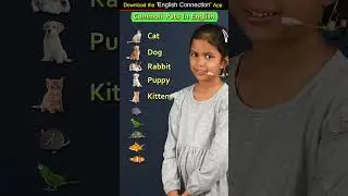 Common Pets's Name in English | Adi English Connection | Kanchan Vidya Connection #shorts