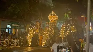 නුවර පෙරහැර