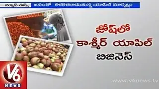 Kashmir Apple business holders happy with heavy production and sales