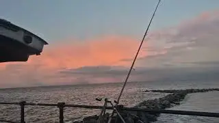 Ист-Холтон в страну чудес... большие укусы