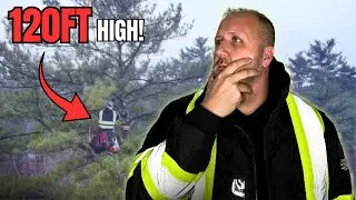 The Most Dangerous Tree We've Ever Tackled