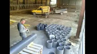 Production oignons semence