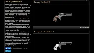 Derringer Guardian 209