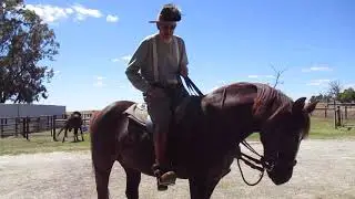 I recently attended a local funeral from within the equine community.