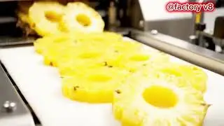 How pineapple become juice a behind the scenes look at modern production 