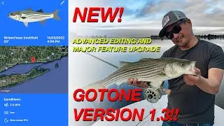 BIG new features in GotOne Version 1.3!
