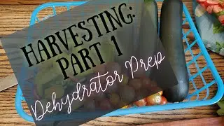 Harvesting: Part 1 | Dehydrator Prep