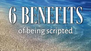 𝐖𝐡𝐲 𝐃𝐨 𝐒𝐜𝐫𝐢𝐩𝐭𝐬 𝐌𝐚𝐭𝐭𝐞𝐫? 𝟔 𝐑𝐞𝐚𝐬𝐨𝐧𝐬 𝐄𝐯𝐞𝐫𝐲 𝐒𝐮𝐜𝐜𝐞𝐬𝐬𝐟𝐮𝐥 𝐑𝐞𝐚𝐥 𝐄𝐬𝐭𝐚𝐭𝐞 𝐀𝐠𝐞𝐧𝐭