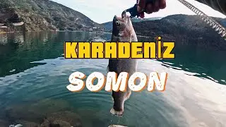 SOMON AVI- LRF disiplini ile balık keyfine doyduk. #fishhunting #fishing #fish #salmonfishing
