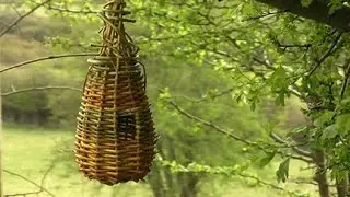 Bird's Nest - Weave Your Own - Introduced by Brendan Farren