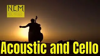 Acoustic and Cello [Light Cinematic Music] by Sibsonic