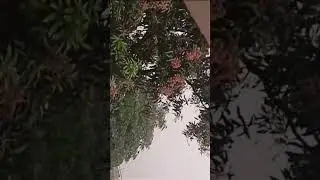 #juma❤ #rain in #pakistan ❤#shorts #islamic #shorts