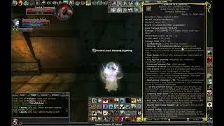 DDO Paladin DPS Test