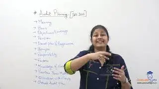 Auditing - Audit Planning, procedures and documentation - Audit planning