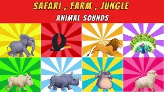 Safari , Farm , Jungle Animal Sounds Song N20T4 | Nursery Rhymes | Kids TV Education