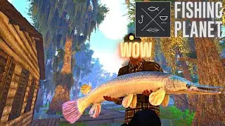Big Alligator Gar and Catfish + Bowfin & Bass | Exploring Quanchkin Lake  | Fishing Planet in 2023