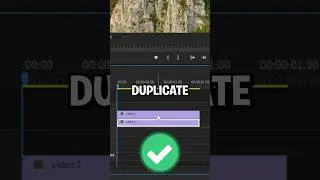 Как дублировать видеоклипы в Premiere Pro