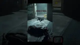 1 Shot 2 Kills #subscribe