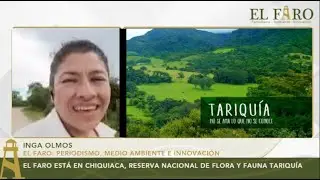 EL FARO ESTÁ EN CHIQUIACA, RESERVA NACIONAL DE FLORA Y FAUNA TARIQUÍA