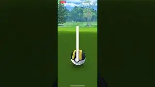 Shiny Bidoof / Pok&eacute;mon GO