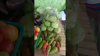 harvest festival at countryside #shorts #festival #countryside