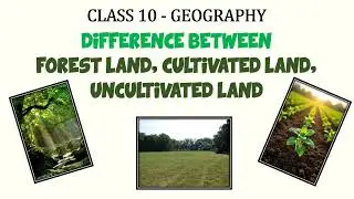 Forest land, Cultivated land, Uncultivated land