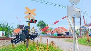 Sirine Error‼️ Perlintasan kereta api JPL 154 Petarukan