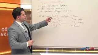 Türkçe - Zarf(Belirteç) Nedir ?