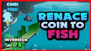 COIN TO FISH | GUIA COMO ENTRAR DE LA FORMA MAS ECONOMICA | ROI |
