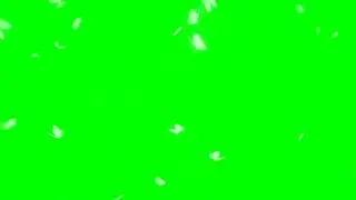 White Butterfly Overlay । Green Screen Animation
