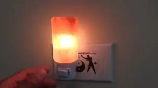 Himalayan Salt Lamp Night Light