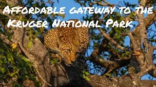 Краткий обзор моего пребывания в отеле Kruger Gate — сентябрь 2023 г.