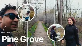 Tall Pines & Marsh Boardwalks | Hiking Pine Grove Trails with Sofia & Rocky the Husky