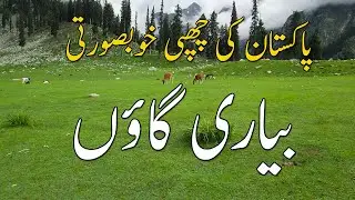 Hidden Beauty Of Pakistan | Biari Village | Travel Guide