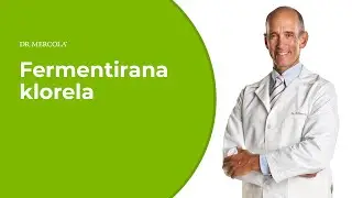 Na koji način FERMENTIRANA CHLORELLA podržava detoksikaciju organizma