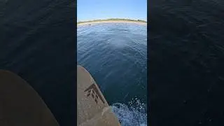Can You Even Surf This Spot? Jetty Park Florida Test #shorts