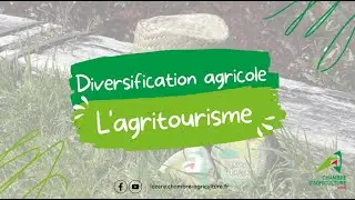 Diversification agricole : l'agritourisme