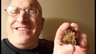 Brian O'Reilly reactions to food and drink