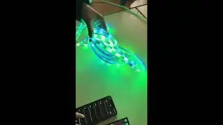 RGBCCT IC LED Strip Lights.#ledlights #beautiful #lights #design #led