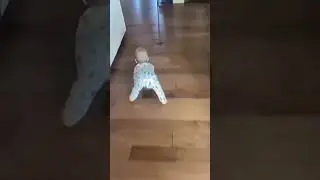 funny baby walk....🚼😂 #youtubeshorts #shorts #viralshorts #babyshorts #funnybaby #funnybabyvideos