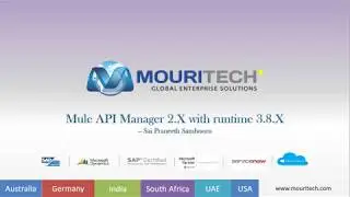 Mule API Manager 2.X With 3.8.X Runtime